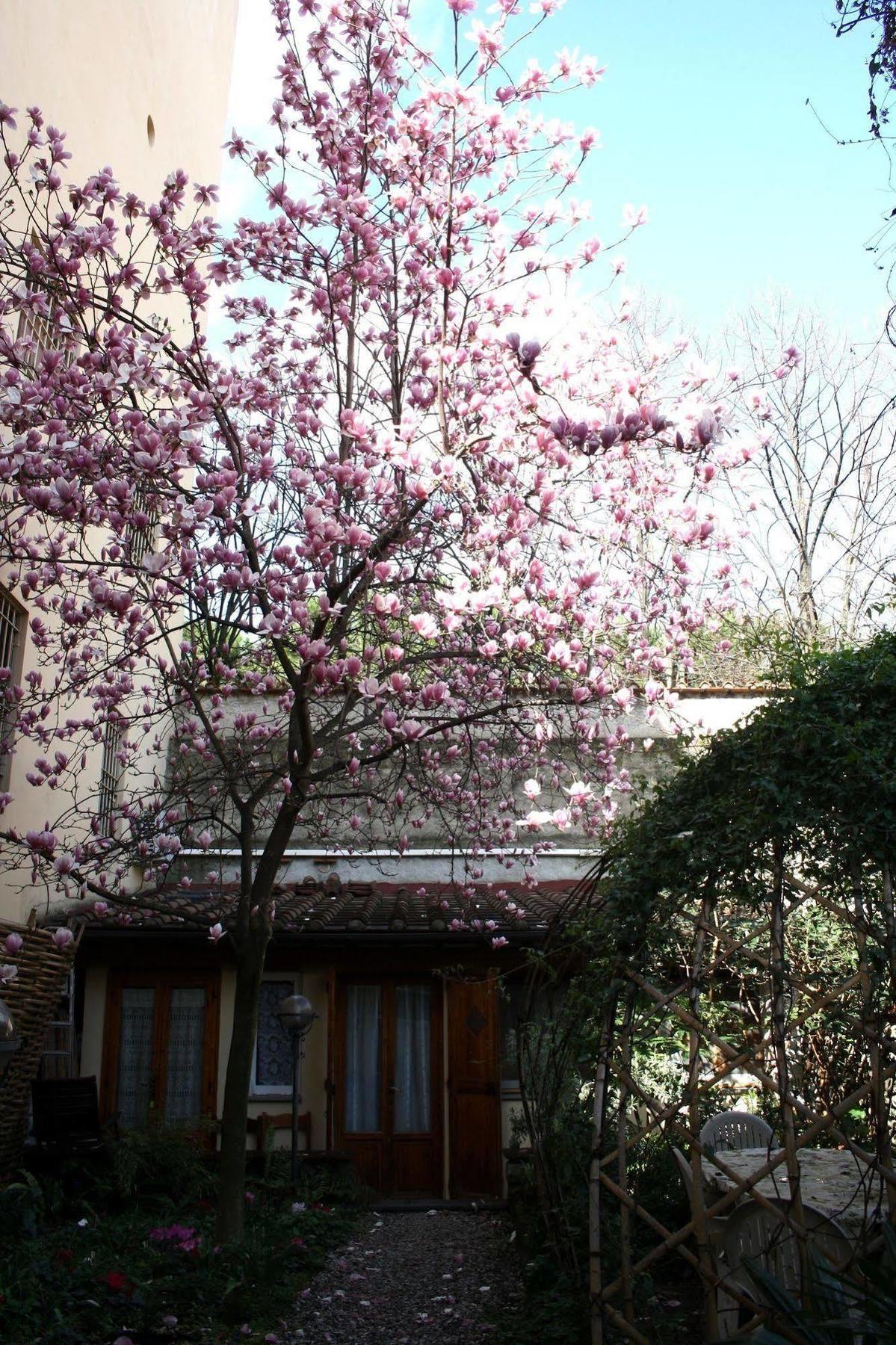 Affittacamere Casa Corsi Florence Luaran gambar